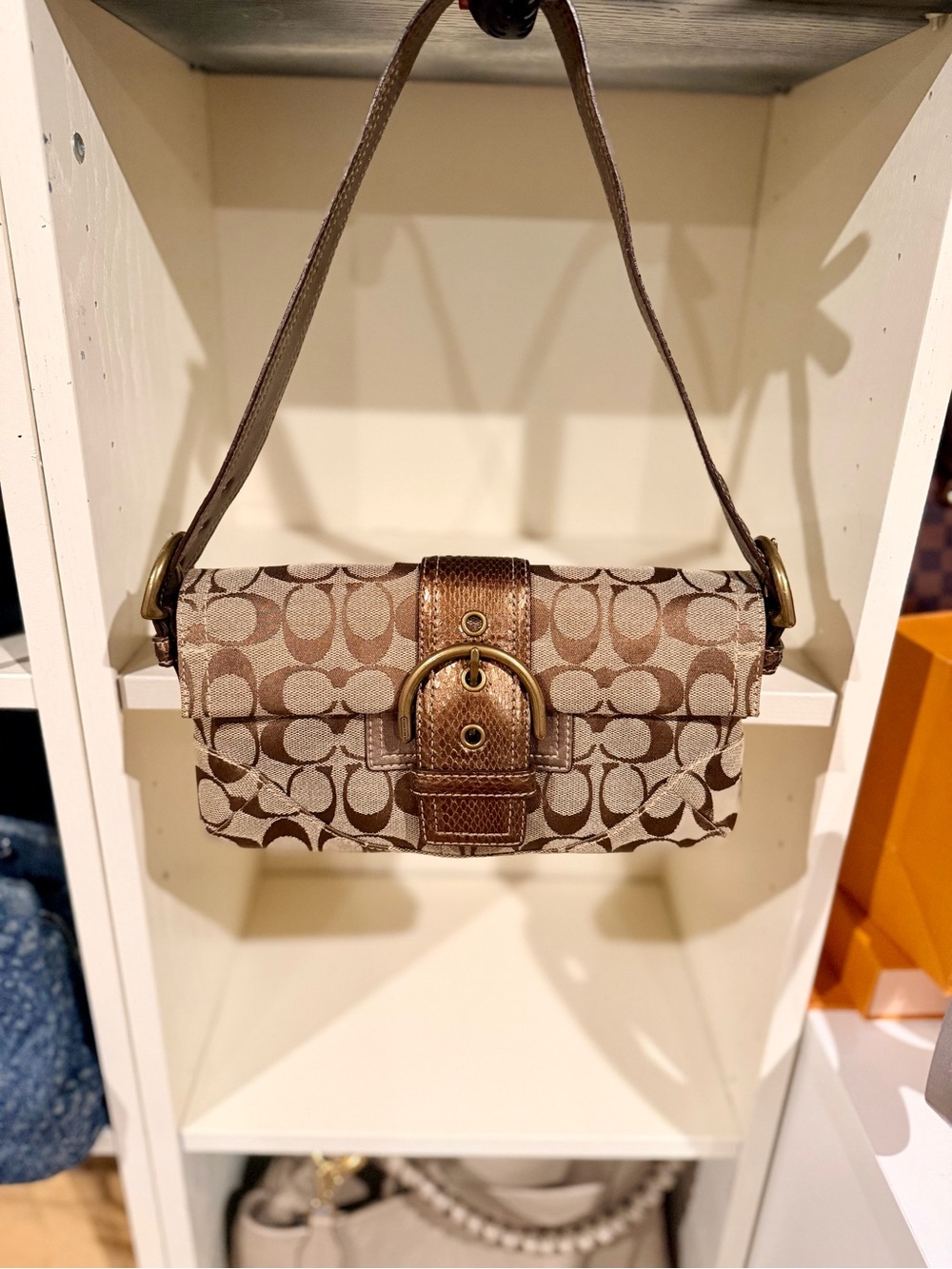 Vintage Y2K Coach Soho Signature Python Leather Shoulder Bag Brown Logo Canvas
